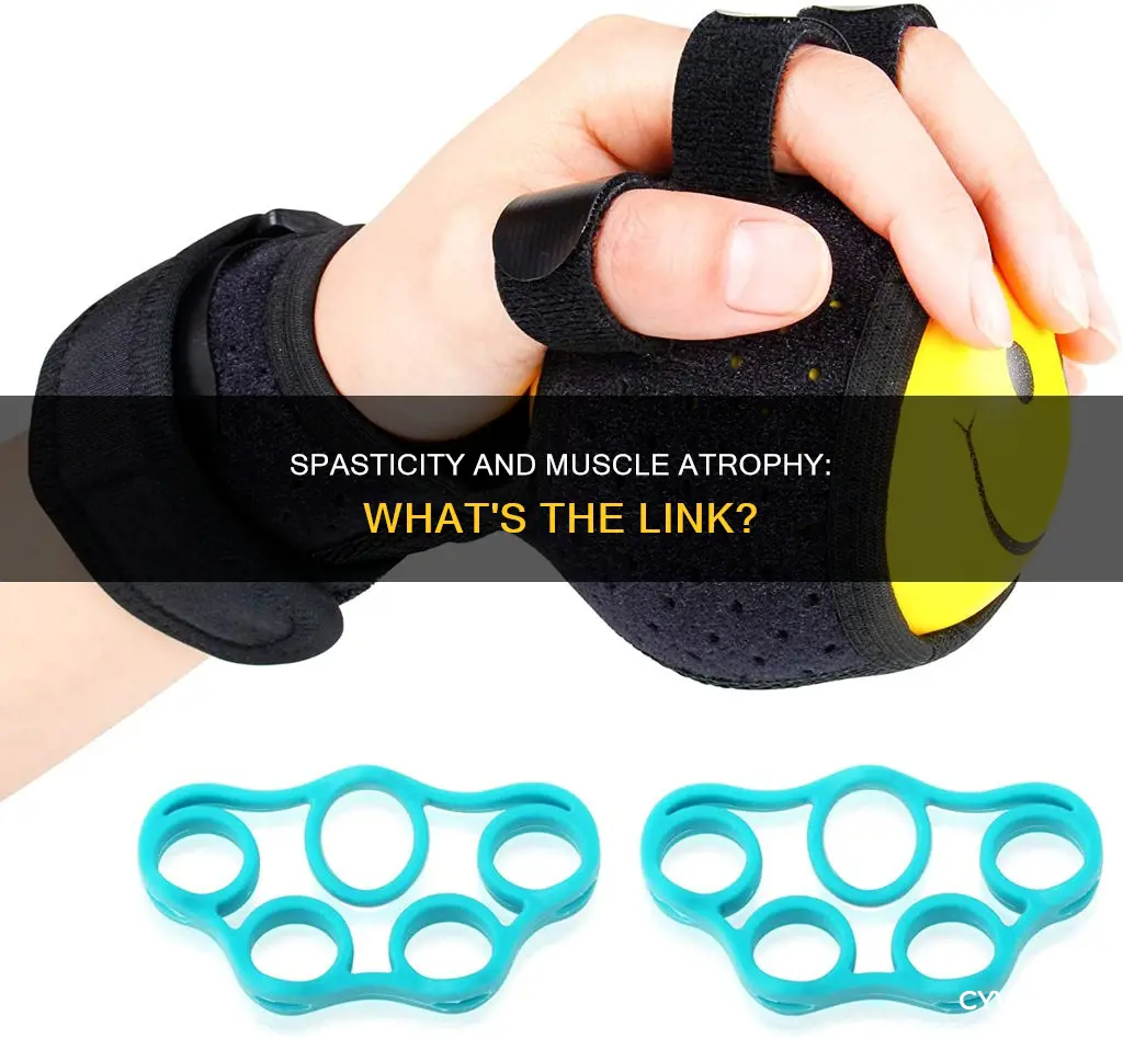 does spasticity cause muscle atrophy