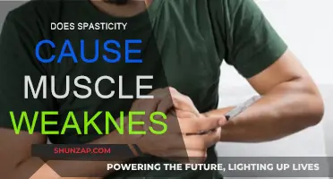 Spasticity and Muscle Weakness: What's the Connection?