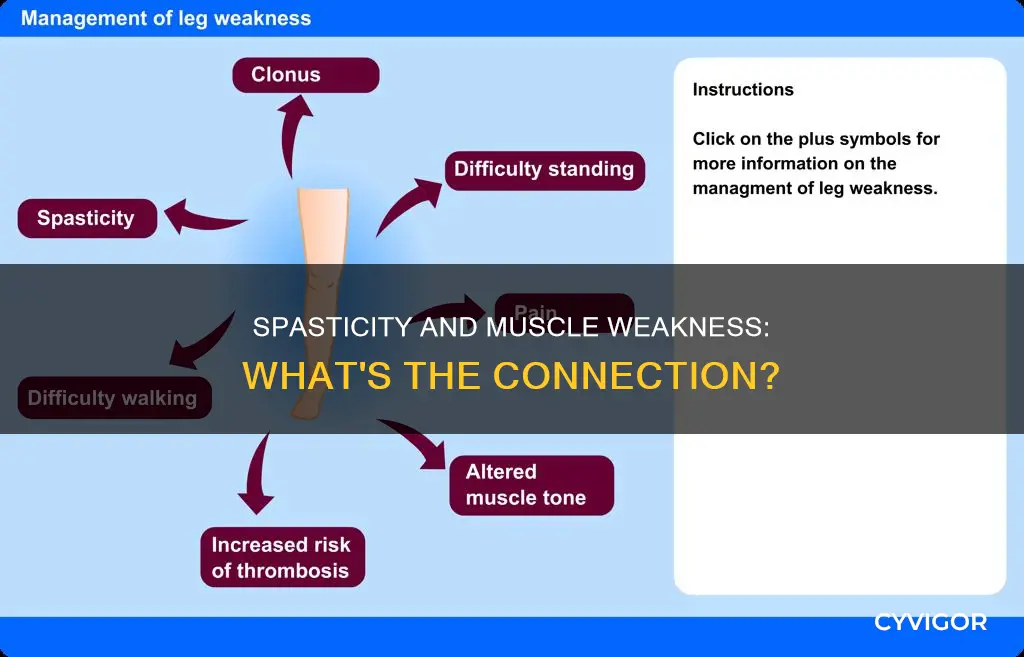 does spasticity cause muscle weakness