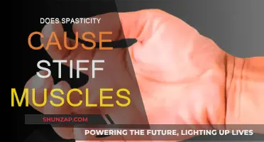 Spasticity and Muscle Stiffness: What's the Link?