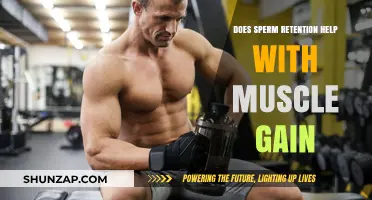 Sperm Retention and Muscle Gain: Fact or Fiction?