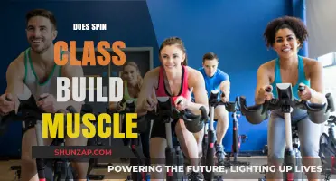 Spin Class Muscle Building: Fact or Fiction?