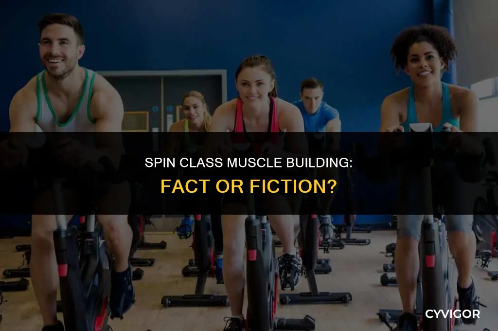does spin class build muscle