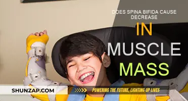 Spina Bifida: Muscle Mass Reduction Explained