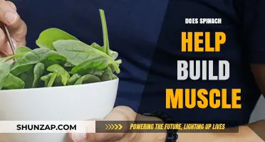 Spinach and Muscle Building: Separating Fact from Fiction