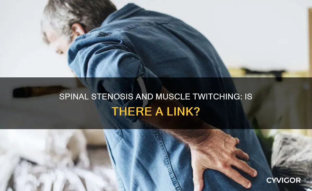 does spinal stenosis cause muscle twitching