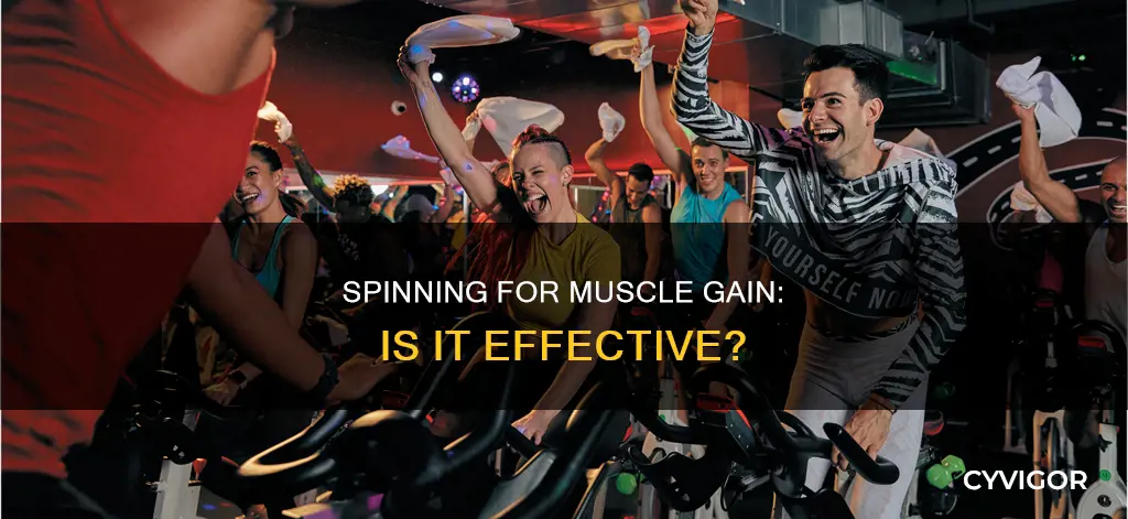does spinning add muscle