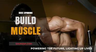 Spin to Strength: Unraveling the Muscle-Building Potential of Spinning