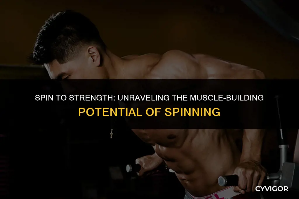 does spinning build muscle