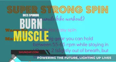 Spinning Sessions: Burning Fat Without Losing Muscle