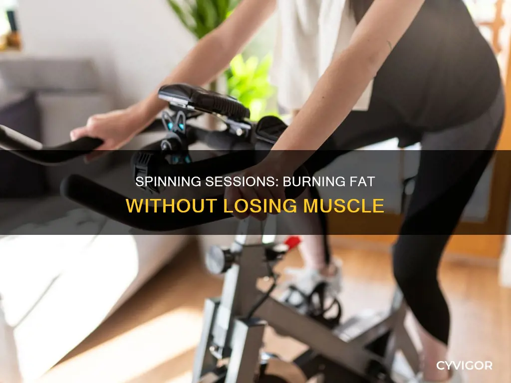 does spinning burn muscle