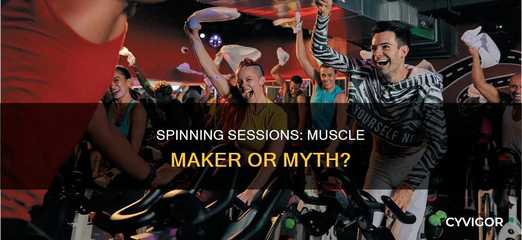 does spinning give you muscles