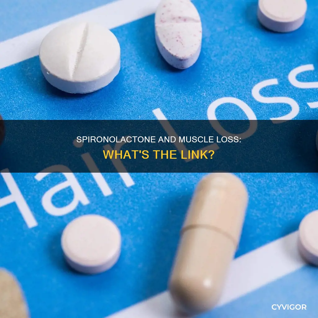 does spironolactone cause muscle loss