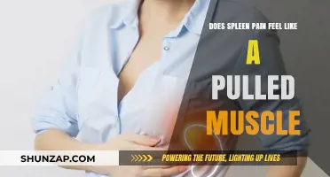 Spleen Pain vs. Pulled Muscle: Understanding the Difference in Symptoms