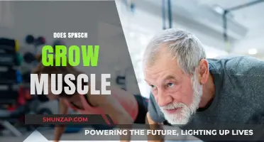 Can SPNSCH Effectively Build Muscle? Unveiling the Truth and Benefits
