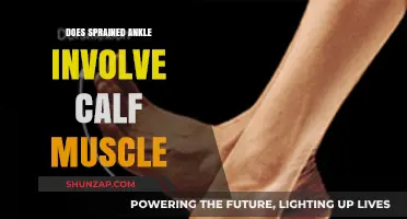 Exploring the Connection: Sprained Ankle and Calf Muscle Involvement