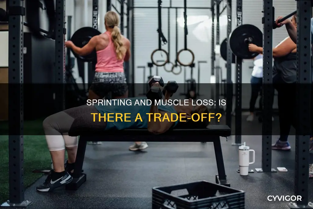 does sprinting cause muscle loss