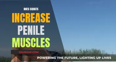 Squats and Penile Muscles: Any Link?