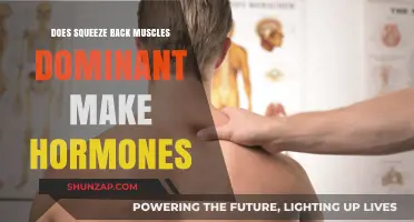 Exploring the Link Between Back Muscle Dominance and Hormonal Balance