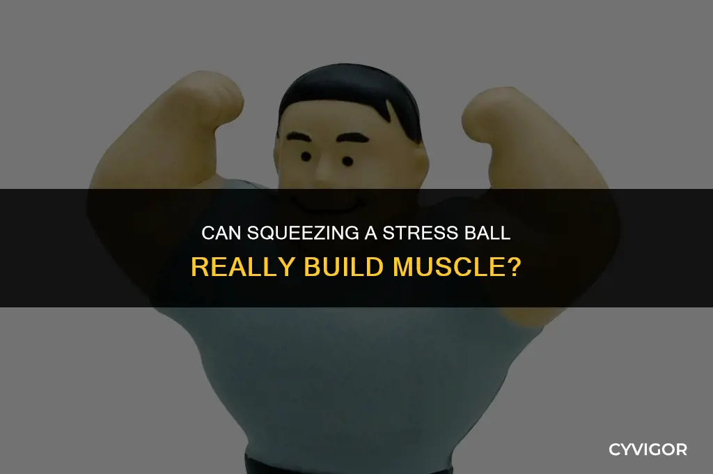 does squeezing a stress ball build muscle