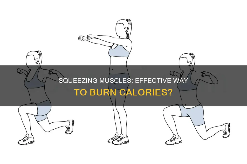 does squeezing muscles burn calories