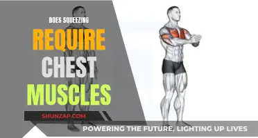 How Squeezing Actions Engage Your Chest Muscles