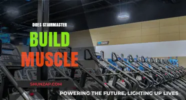 StairMaster Muscle Building: Fact or Fiction? Discover the Truth