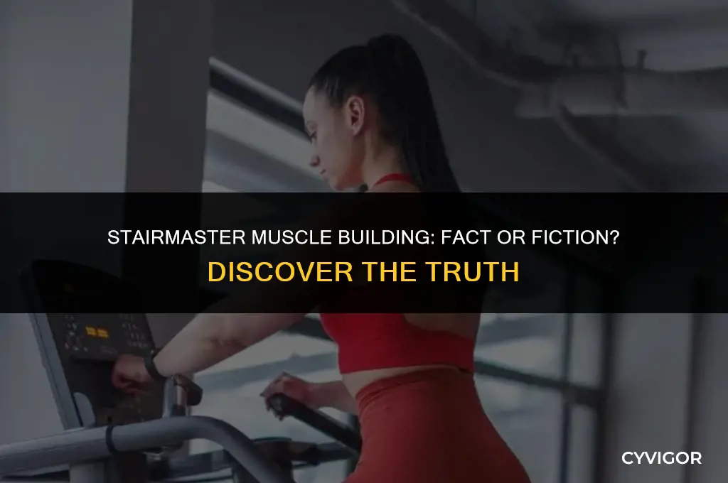 does stairmaster build muscle