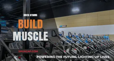 Climb Your Way to Stronger Muscles: The Staircase Workout