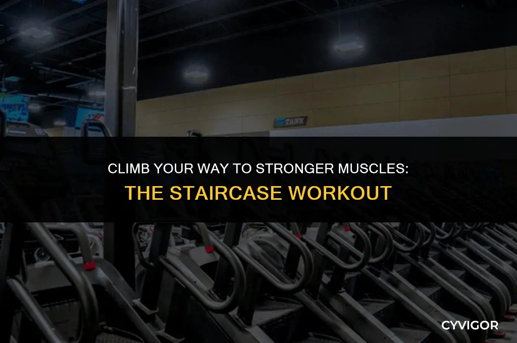 does stairs build muscle