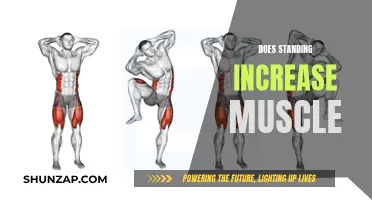 Standing to Build Muscle: Is It Effective?