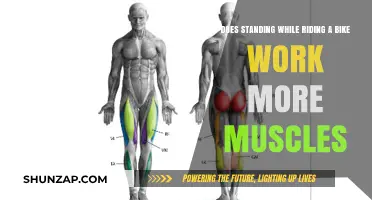 Standing vs. Sitting: Which Cycling Position Engages More Muscles?