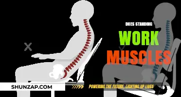 Standing vs. Sitting: How Does It Impact Muscle Engagement and Strength?
