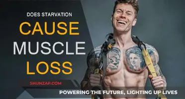 Starvation's Impact: Muscle Loss and Body Composition