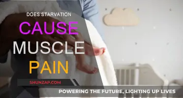 Starvation's Link to Muscle Pain and Discomfort
