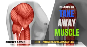Starvation's Impact: Muscle Loss or Muscle Maintenance?