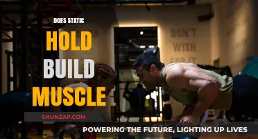 Debunking Fitness Myths: Does Static Hold Really Build Muscle?