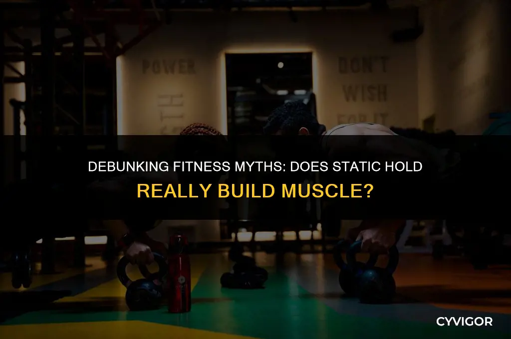 does static hold build muscle