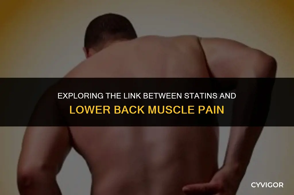 does statin hurt lower back muscles