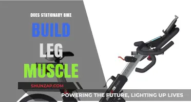 Pedal Power: Can Stationary Bikes Really Build Leg Muscle?