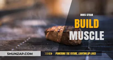 Fuel Your Gains: The Truth About Steak and Muscle Building
