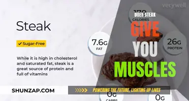 Steak and Muscle Gain: Fact or Fiction?