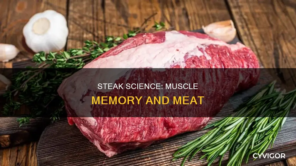 does steak have muscle memory