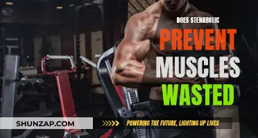 Stenabolic's Effect on Muscle Wasting: What You Need to Know