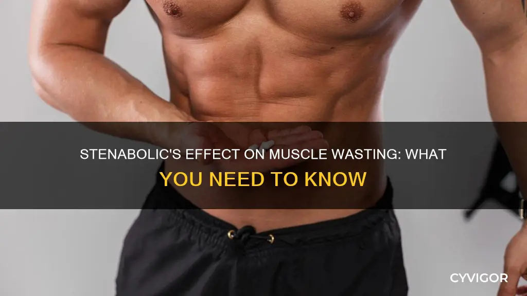 does stenabolic prevent muscles wasted