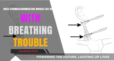 Breathing Trouble: Can It Cause Your Sternocleidomastoid Muscle to Grow?
