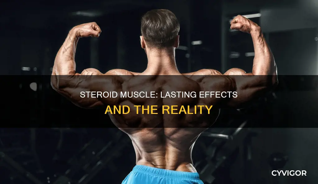 does steroid muscle stay