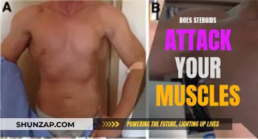 Steroids: Friend or Foe to Muscles?