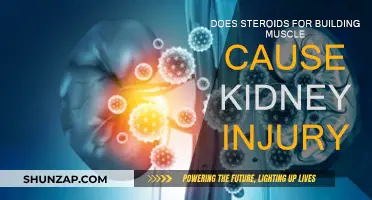Steroids: Muscle Gain or Kidney Pain?