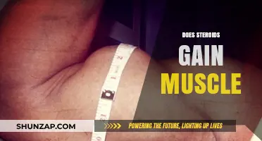 Do Steroids Build Muscle? Facts, Risks, and Real Results